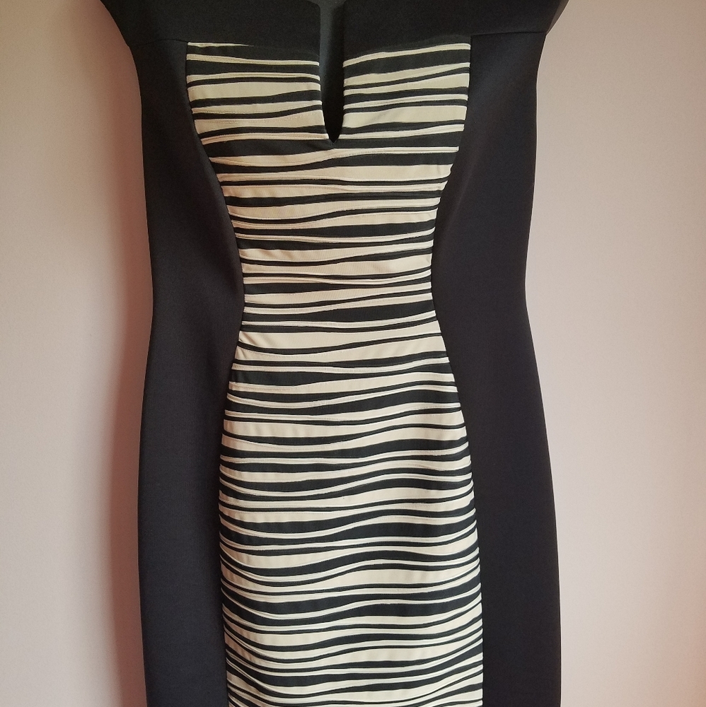 NWOT Bodycon sleeveless dress size 8